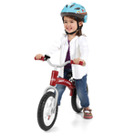 Bicicleta fara pedale Radio Flyer Glide & Go Balance Bike, 2-5 ani