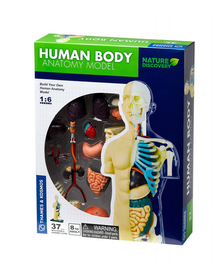 Kit STEM Anatomia corpului uman