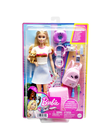 BARBIE PAPUSA BARBIE IN VOIAJ