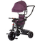 Tricicleta pentru copii Chipolino Pulse lilac